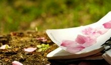 心静如水映万物