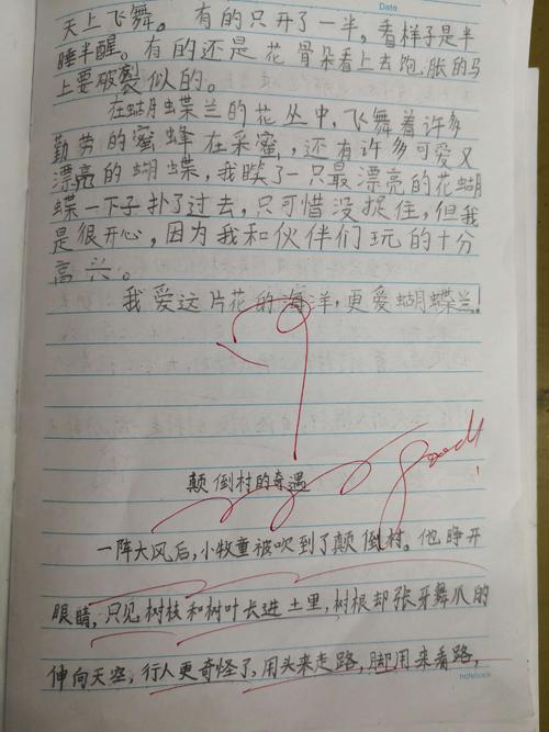 牧羊伙伙计