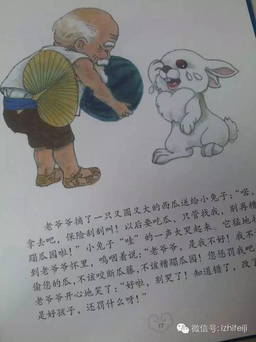 小兔子