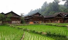 风格各异的民居