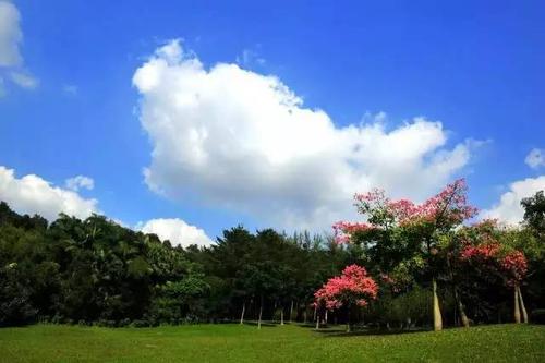 美丽的冲程山公园