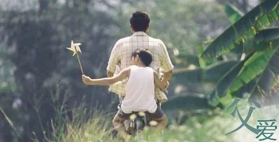 我和父亲的背部哭了。