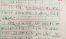 二年级续写蜘蛛开店