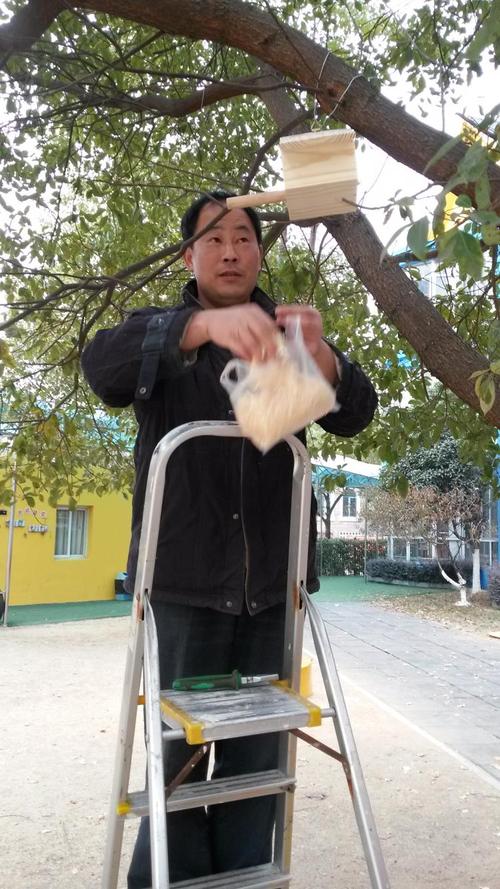 鸟来到客人