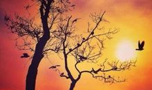 友情感恩中萌生