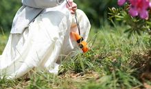 在感恩中邂逅清晨