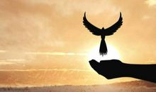 做一个坚强不屈的人