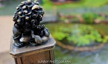 那些年我向往过的地方