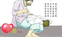 诉不尽的爱，报不完的三春晖