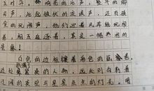 窗外作文500字