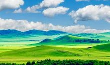 用尊严描绘多彩的画卷