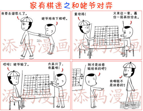 我的家人的象棋粉丝