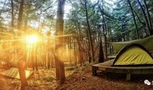 以独行的心态结伴而行