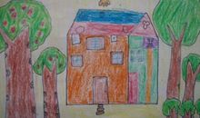 我们的森林家园