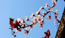 请留一抹阳光给我