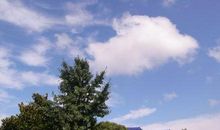 那年那天那个阳光明媚的清晨