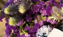 在泪水和忧患中成长