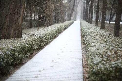 靠近雪