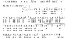 致树下的你，我的爱人