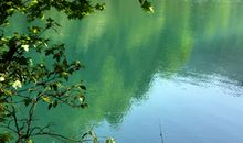 春来江水绿如蓝