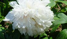 发现身边的美丽