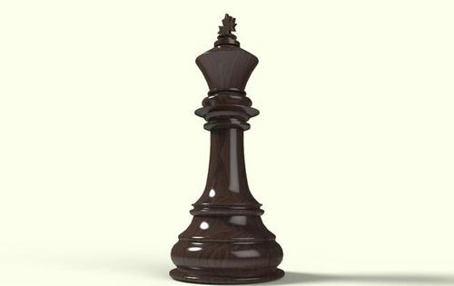 我学会了国际象棋