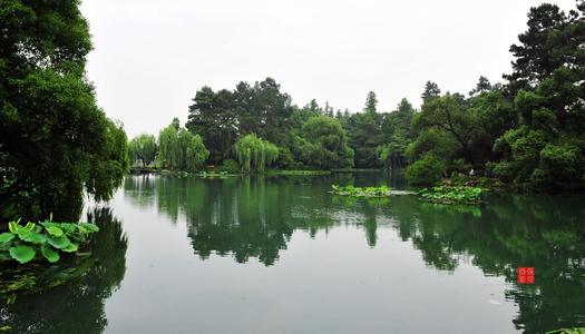西湖的静态