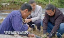 丝丝暖流总关情