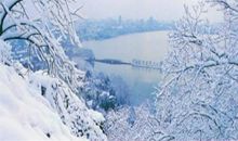 《湖心亭看雪》读后感