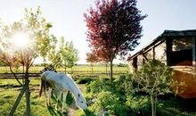 乡间生活真有趣