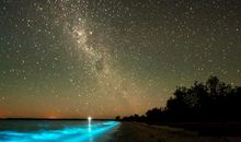 米粒和蓝色眼泪读后感