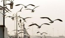 和“珠绣”的一次亲密接触