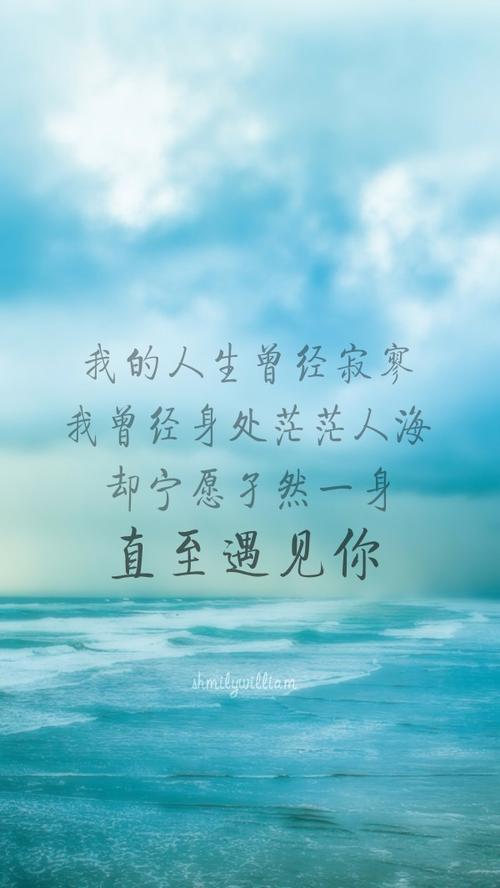 我见过你