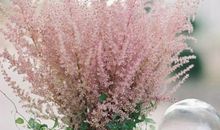 像雪一样凝聚在一起