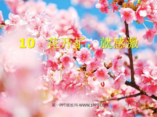 感恩节在路上