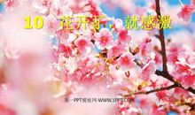 感恩的花开在时光的路上