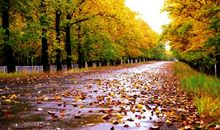 瞥见秋来过的痕迹