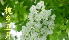 五月乡景