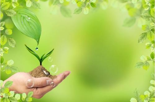 春天的春天多么美丽