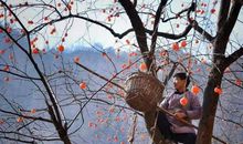 给予是一种快乐