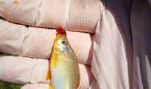 在四月的阳光下