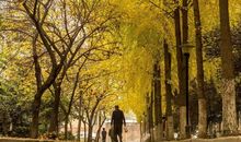 因为经历所以懂得