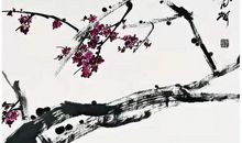 与梅相伴的快乐