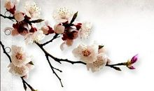 学雷锋乐奉献做仁恕少年