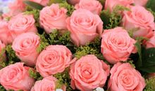 生活需要花儿般的幸福