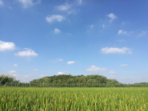 我知道一个地方