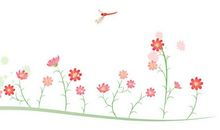 与萧山花边的美丽相遇