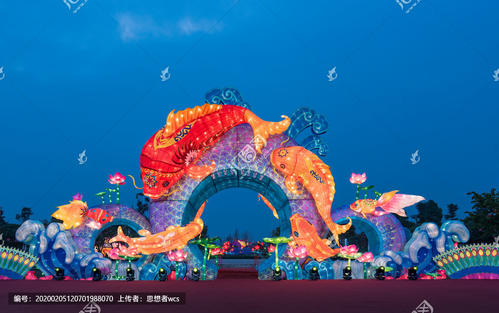 鱿鱼走路