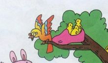 小猴近视了看图写话二年级