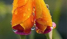 那是幸福的滋味